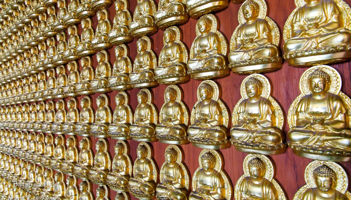 万能开挂辅助“天天爱临沧麻将到底有没有挂”(透视)其实确实有挂