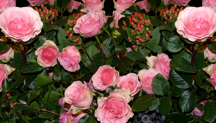 辅助开挂神器“开心茶苑究竟有挂吗”(透视)其实确实有挂