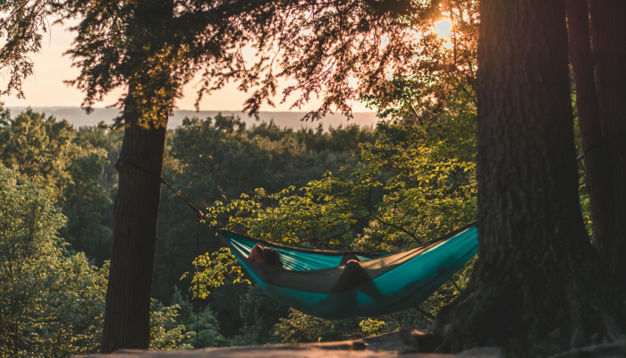 实测教程”森林争霸可以开挂吗”其实确实有挂